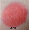 Sleek Lagoon Palette 12. Ariel.jpg