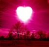 beautiful-heart-love-pink-trees-Favim.com-365481.jpg
