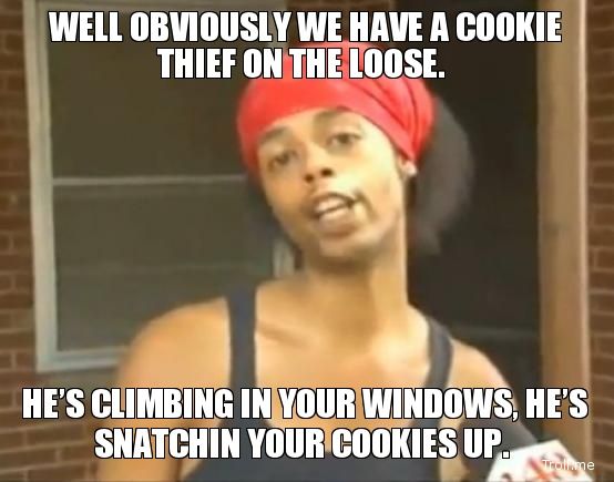 well-obviously-we-have-a-cookie-thief-on-the-loose-hes-climbing-in-your-windows-hes-snatchin-your-cookies-up.jpg