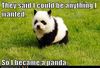 panda.jpg