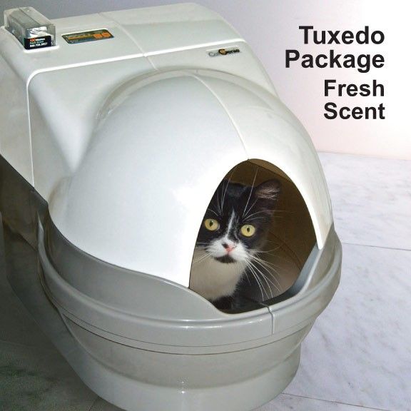 tux-cat-unit-fs-wb.jpg