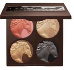 horse palette.JPG