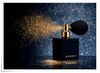 Givenchy-Nuit-Celeste-for-Holiday-2011-002.jpg