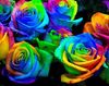 neon roses.jpg