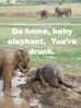 drunk elephant.jpg
