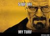 resized_walter-white-meme-generator-stay-off-my-turf-41f5f6.jpg