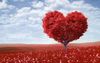 7000746-red-heart-tree.jpg