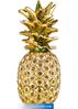 Estee-Lauder-Holiday-2015-Pineapple-Compact.jpg
