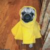 Raincoat.jpg