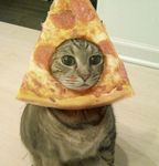 pizza cat.jpg