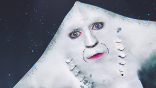 noel-fielding-manta-ray-placed.png