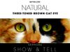 Cat Eye teaser 4.1.jpg