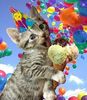 birthday kitten ice cream.jpg