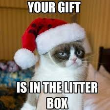 grumpy cat gift.jpg