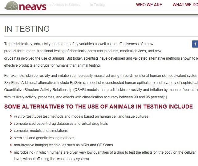 animaltesting13.jpg