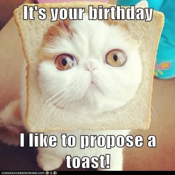 Its-Your-Birthday-I-Like-To-Propose-Toast-Funny-Birthday-Meme-Image.jpg