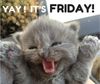 182046-Yay-It-s-Friday.jpg