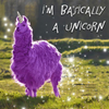 unicorn llama.png