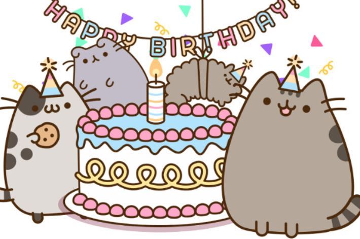 pusheen hb2.JPG