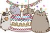 pusheen hb2.JPG