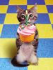 kitten_cupcake.jpg