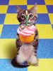 kitten_cupcakeSM.jpg