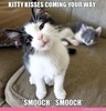kitty-kisses-coming-your-way-smooc.jpg