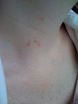 kitten hickey 2.jpg