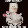 49-birthday-lolcats-funny-images-of-cats-with-cake.jpg