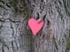 heart-tree1.jpg