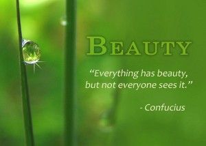 beauty-everything-has-beauty-but-not-everyone-sees-it-nature-quote-confucius.jpg