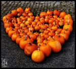 Pumpkin_Heart_by_Moyrah.jpg