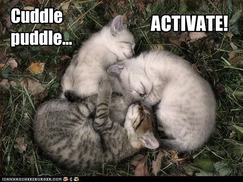 cuddlepuddle.jpg
