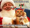 fd9cdc97878c6202_funny-pictures-cat-with-santa.xlarge.jpg