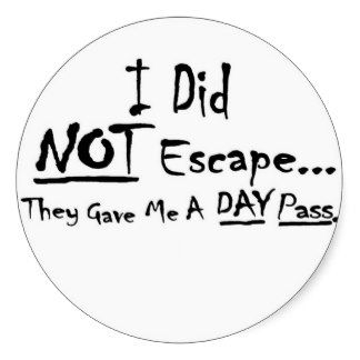 i_did_not_escape_they_gave_me_a_day_pass_stickers-rfe39ee644f8644ee999ae33e6392b188_v9wth_8byvr_324.jpg