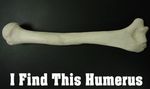 humerus-1.jpg