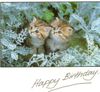 BIRTHDAY-KITTENS-9644941256.jpeg