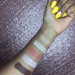 Urban Decay naked Shapshifter Pallete Skin.jpg