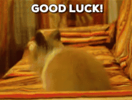 bcd9e57b64249497ec22fe80d5f0e018.gif