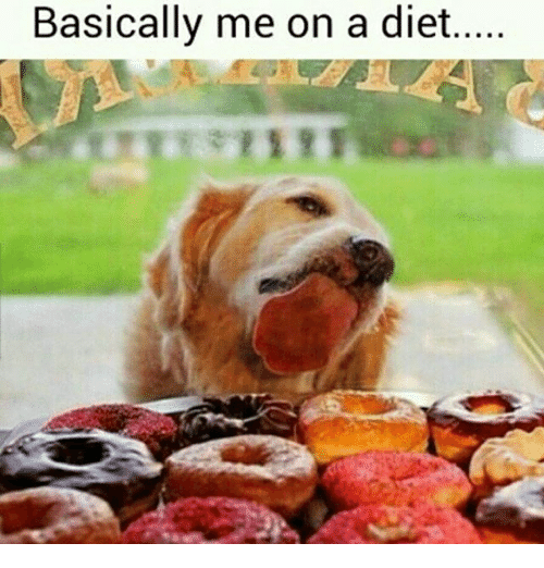 basically-me-on-a-diet-2307109
