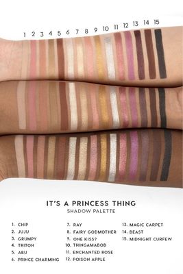 disney x colourpop palette.jpg