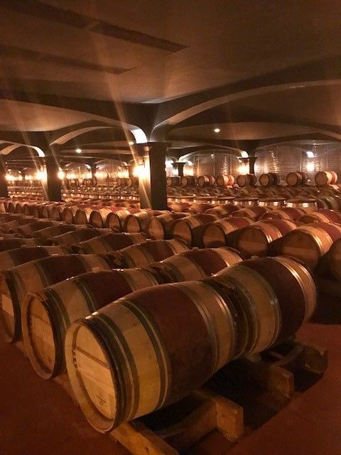 Here is the wine cellar where they age the wine barrels!