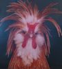 Winifred March Chicken.jpg