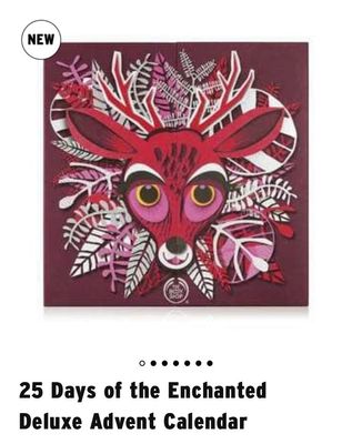 TheBodyShop25DaysAdventCalendar.jpg