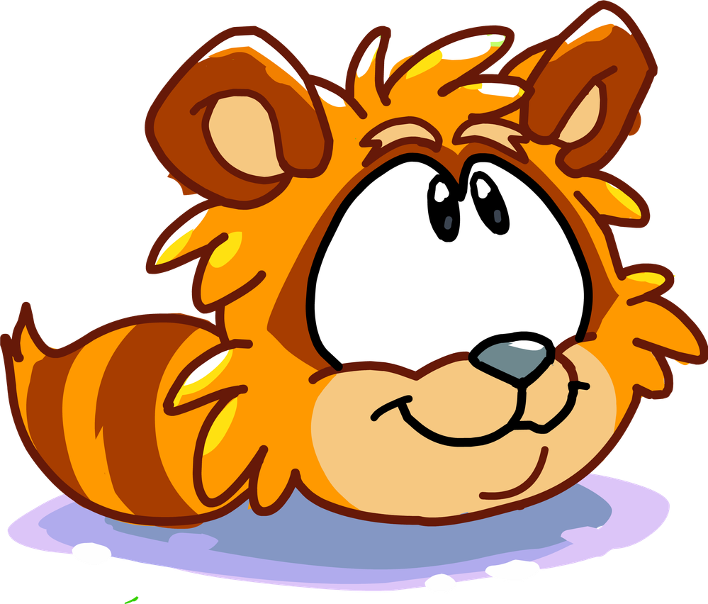 orange raccoon.png