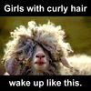 Girls-with-curly-hair-are-funny-in-the-morning.jpg
