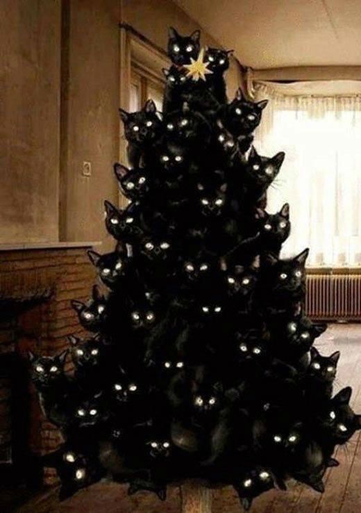 crazy-cat-lady-christmas-tree.jpg