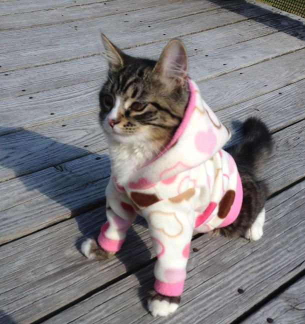 11-Custom-Pink-Tan-and-Brown-Hearts-Cat-hoodie.jpg
