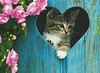 animals_other_a-tabby-kitten-in-a-heart-in-the-fence_71155.jpg