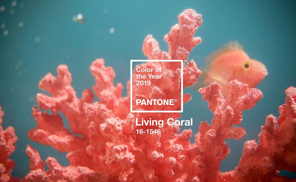 pantone-color-of-the-year-2019-living-coral.jpg